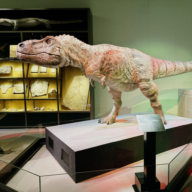 Exploring Wonders: Hong Kong Science Museum