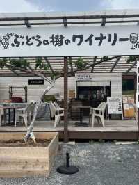 【福岡カフェ】ソフトクリームとぶどうの可愛いMIXべシフ