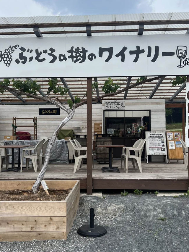 【福岡カフェ】ソフトクリームとぶどうの可愛いMIXべシフ