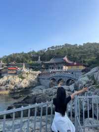 부산 바다와 절을 함께 볼 수 있는 독특한 곳 해동용궁사
