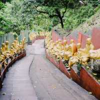 Ten Thousand Buddhas Monastery