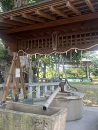 【福岡神社】福岡県指定の天然記念物のイチョウの木がある