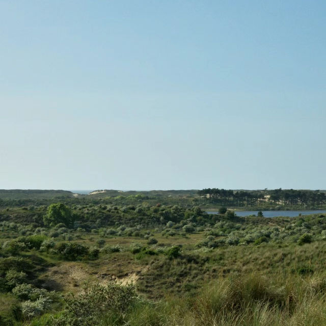 「Seaton Wetlands」：觀鳥天堂