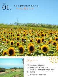 【淡路島】この夏行きたいスポット9選🏝️