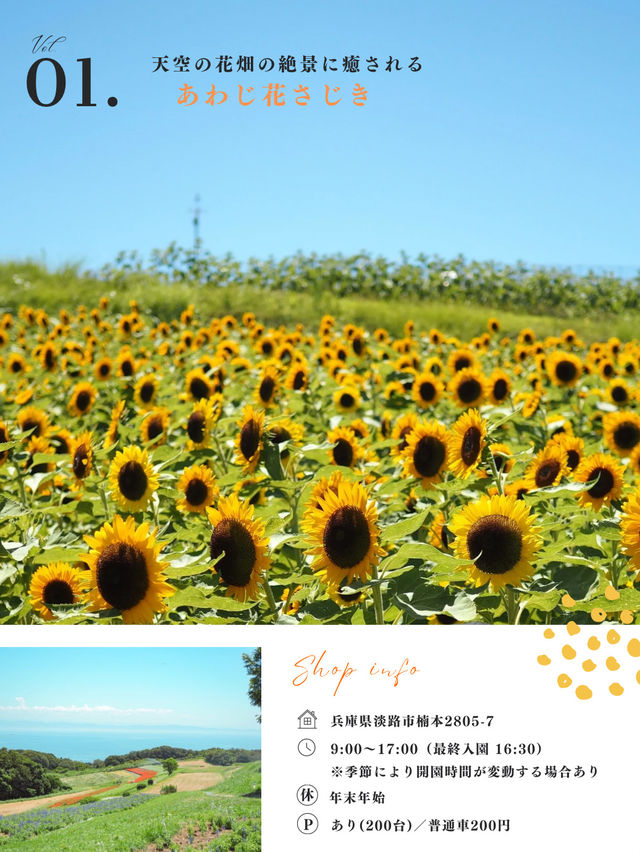 【淡路島】この夏行きたいスポット9選🏝️