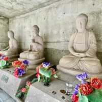 Serenity Amidst Architectural Splendor