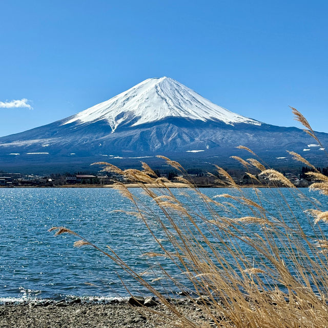 【必去！富士山五個不擠人景點推薦🇯🇵🗻】