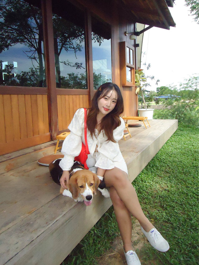 ดอกไม้ประตูแจกันวิลเลจ 🌳 | Nonthaburi
