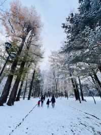 Hokkaido Jingu | Shinto shrine in Sapporo, Japan.
