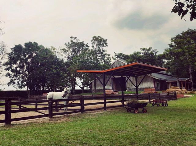 Trot Cafe @ Khaoyai 