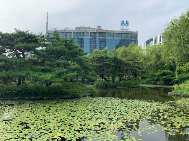  "도시 속 자연의 품격, 여의도공원"🌳