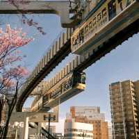 Discover the Futuristic Chiba Monorail