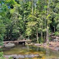 A tranquil escape into nature!