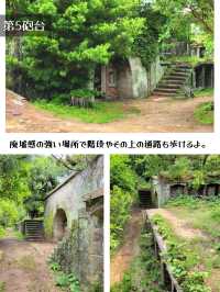 【和歌山】ラピュタの島と話題の友ヶ島