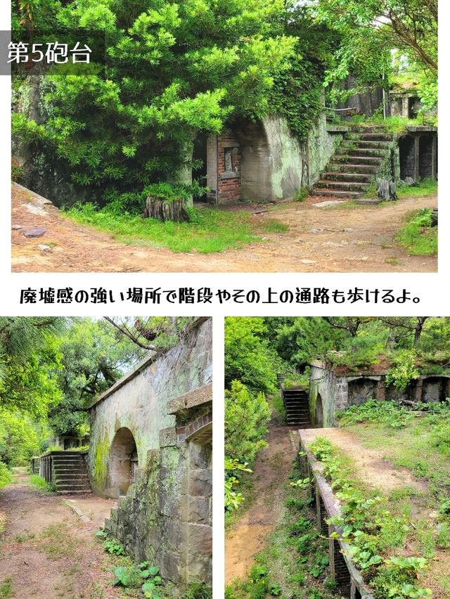 【和歌山】ラピュタの島と話題の友ヶ島
