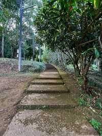วัดสวยกลางป่าบรรยากาศหน้าฝน | วัดหลวงขุนวิน