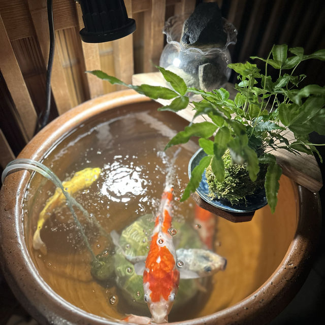 〜京都府〜京都の風情満載！ディナーなら先斗町へ！