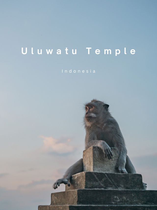 【インドネシア🇮🇩】バリ島の断崖絶壁にあるお猿さんだらけのお寺！