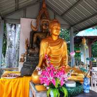 สักการะพระพุทธมังรายชัยมงคล ณ วัดดอยพระบาท