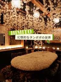 幻想的なタンポポの綿毛の世界🌻金沢・HIMITO