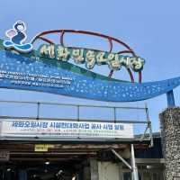 제주여행🏝️ 세화민속오일장에서 경험하는 전통 재래시장의 맛💚