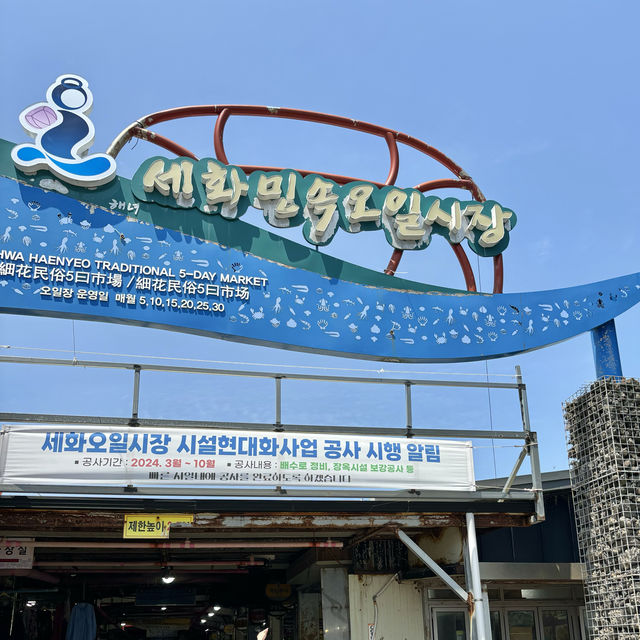 제주여행🏝️ 세화민속오일장에서 경험하는 전통 재래시장의 맛💚