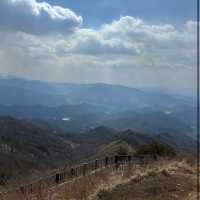 중장거리 등산 코스 추천! 민주지산⛰️