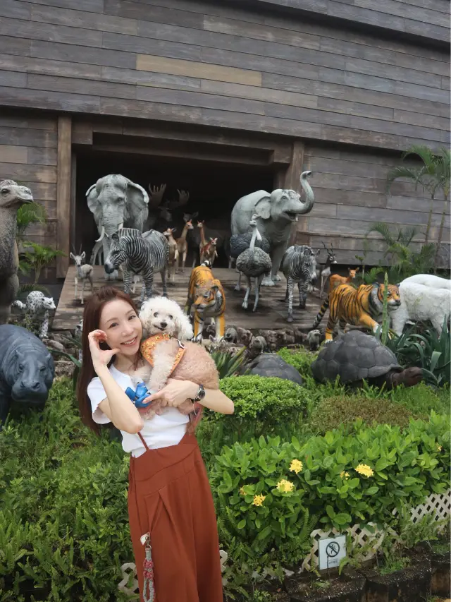 香港挪亞方舟終於變身成pet-friendly🐕嘅旅遊點啦yeah!