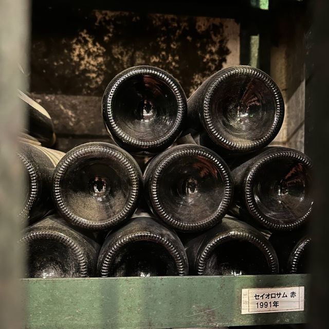 【北海道/池田町】ワイン城で無料の城内ツアーに参加🍷