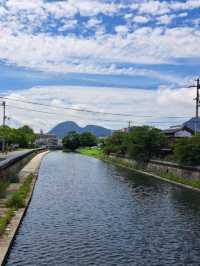 【こがね製麺所 多度津店:香川県多度津町】地元に愛されるコシのある香川のうどん屋さん🍜