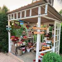 ปานชีวา เรสเตอรองท์ แอนด์ คาเฟ่