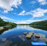 【大阪観光】雨上がりの山田池公園で夏散歩！