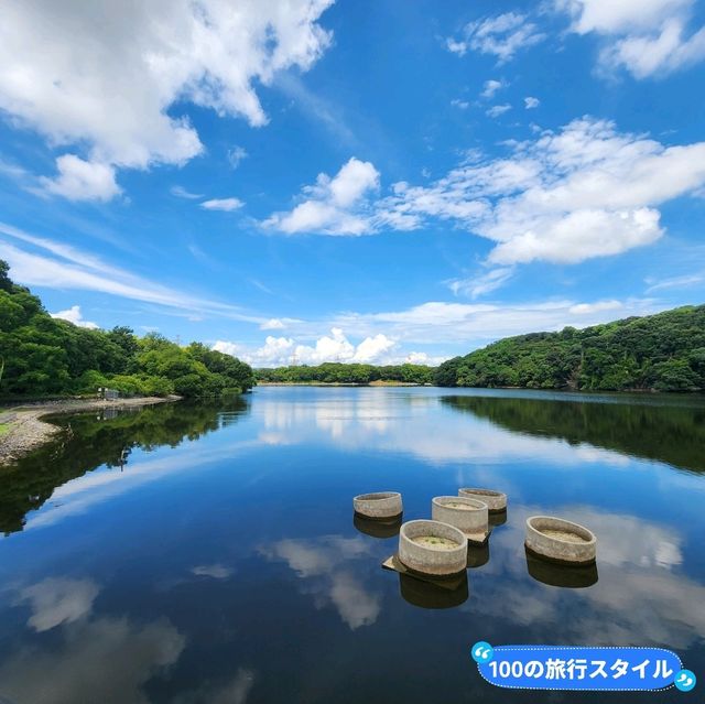 【大阪観光】雨上がりの山田池公園で夏散歩！