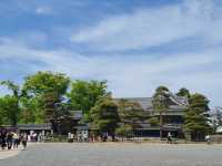 Matsumoto Cystle 