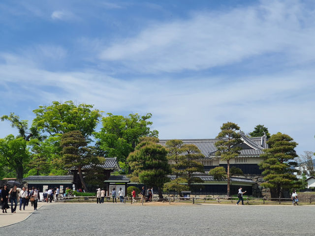 Matsumoto Cystle 