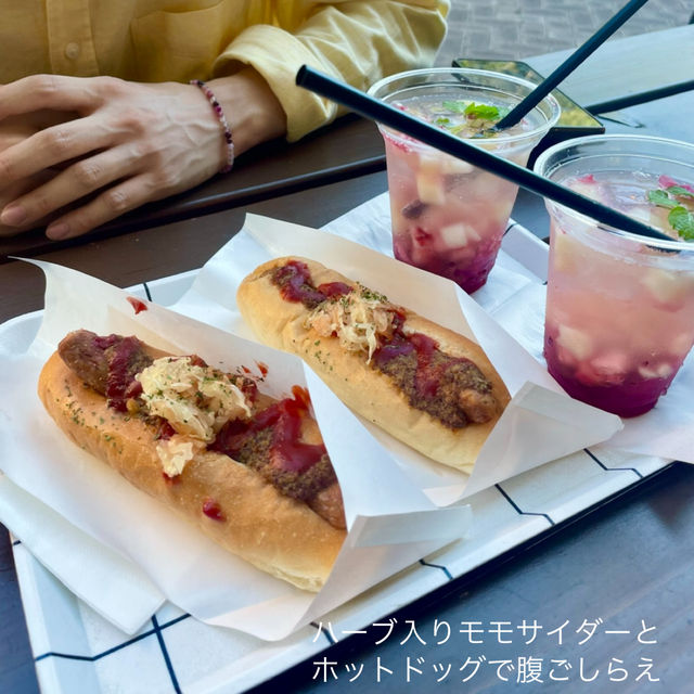 【神戸】秋のデートスポットは神戸布引ハーブ園で決まり‼️