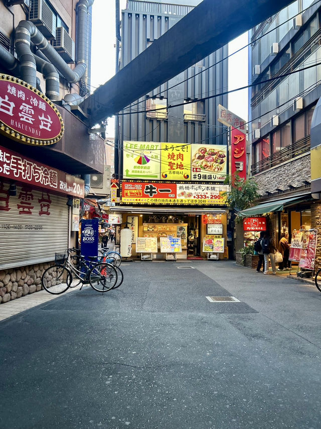 🇯🇵日本の韓国鶴橋