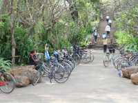 ปั่นจักรยานชมเมืองโบราณทั่วประเทศไทย 🚲