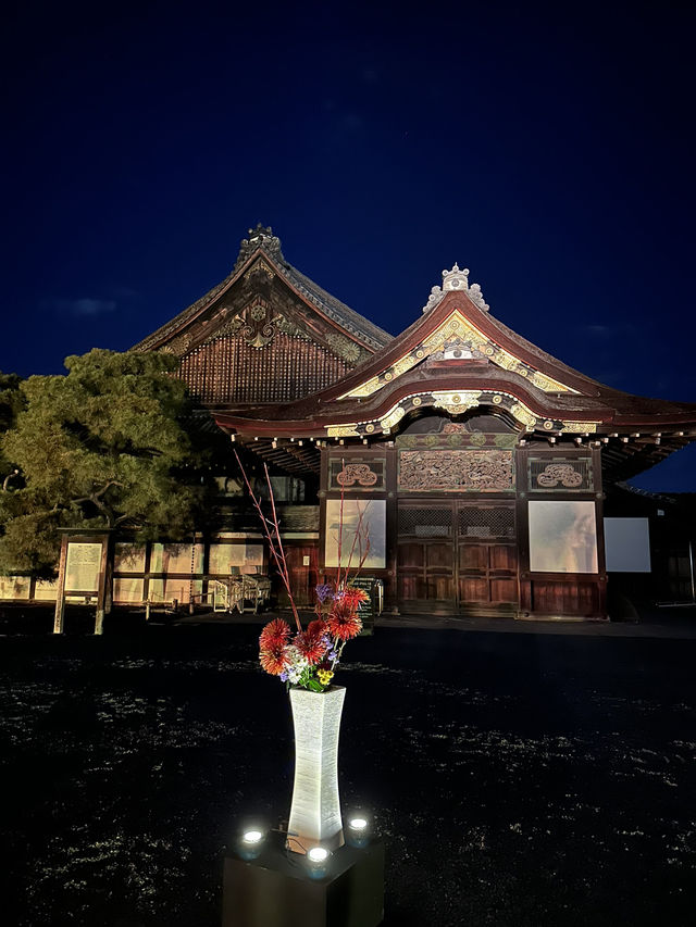 🇯🇵 京都世界遺產二條城 一定要晚上來！🎇