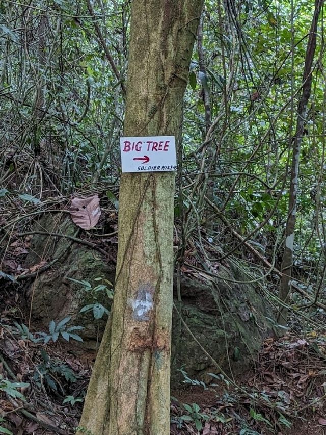 Cherok Tokun Nature Park (National Forest)