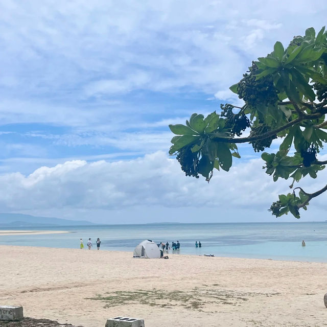 遠離城市的喧囂😊相島