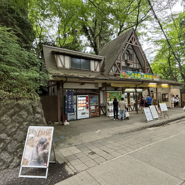 타카오산, 도쿄 근교의 트래킹 코스로 추천!
