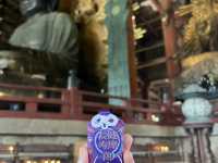 東大寺/ 祈禱天下太平的宏偉寺院
