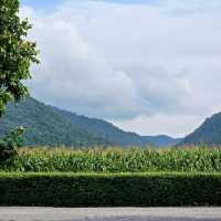 TARA Valley Saraburi ที่พักสุดชิล สระบุรี 
