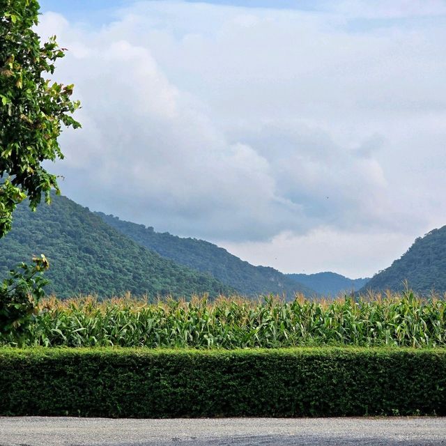 TARA Valley Saraburi ที่พักสุดชิล สระบุรี 