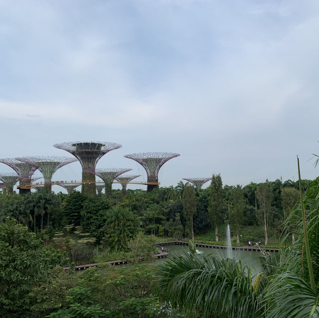 Gardens by the Bay (การ์เด้นส์ บาย เดอะ เบย์)