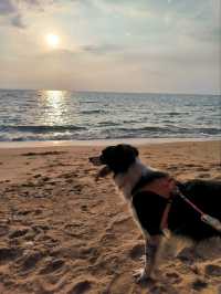 ไต๋อวน นาจอมเทียน อาหารทะเลราคาดีริมชายหาด