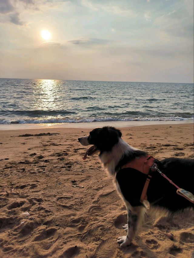 ไต๋อวน นาจอมเทียน อาหารทะเลราคาดีริมชายหาด