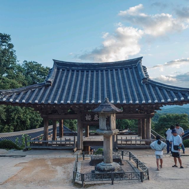 가을하늘에 더 돋보이는