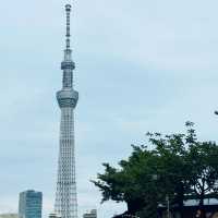 東京 晴空塔